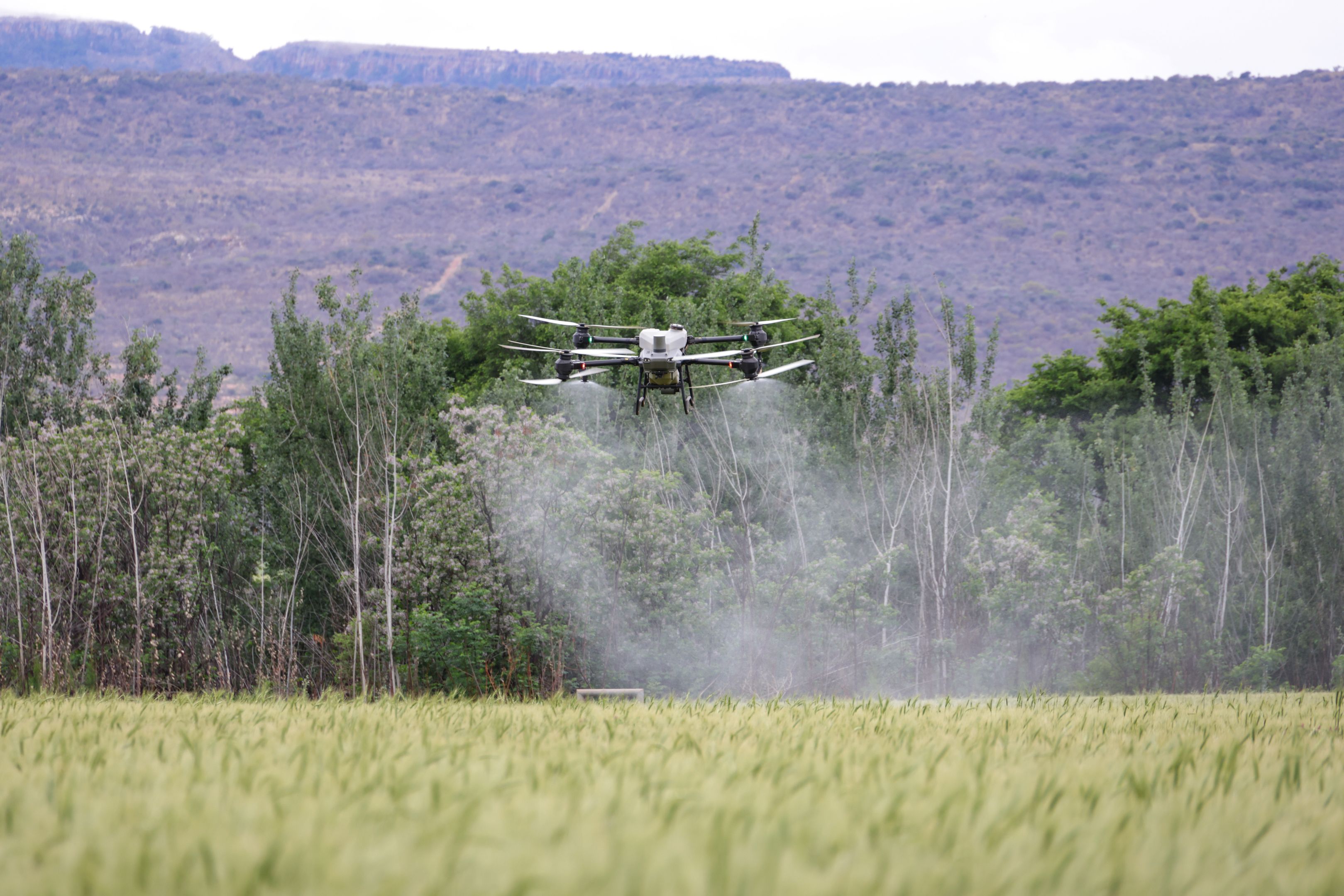Precision Spraying Drone