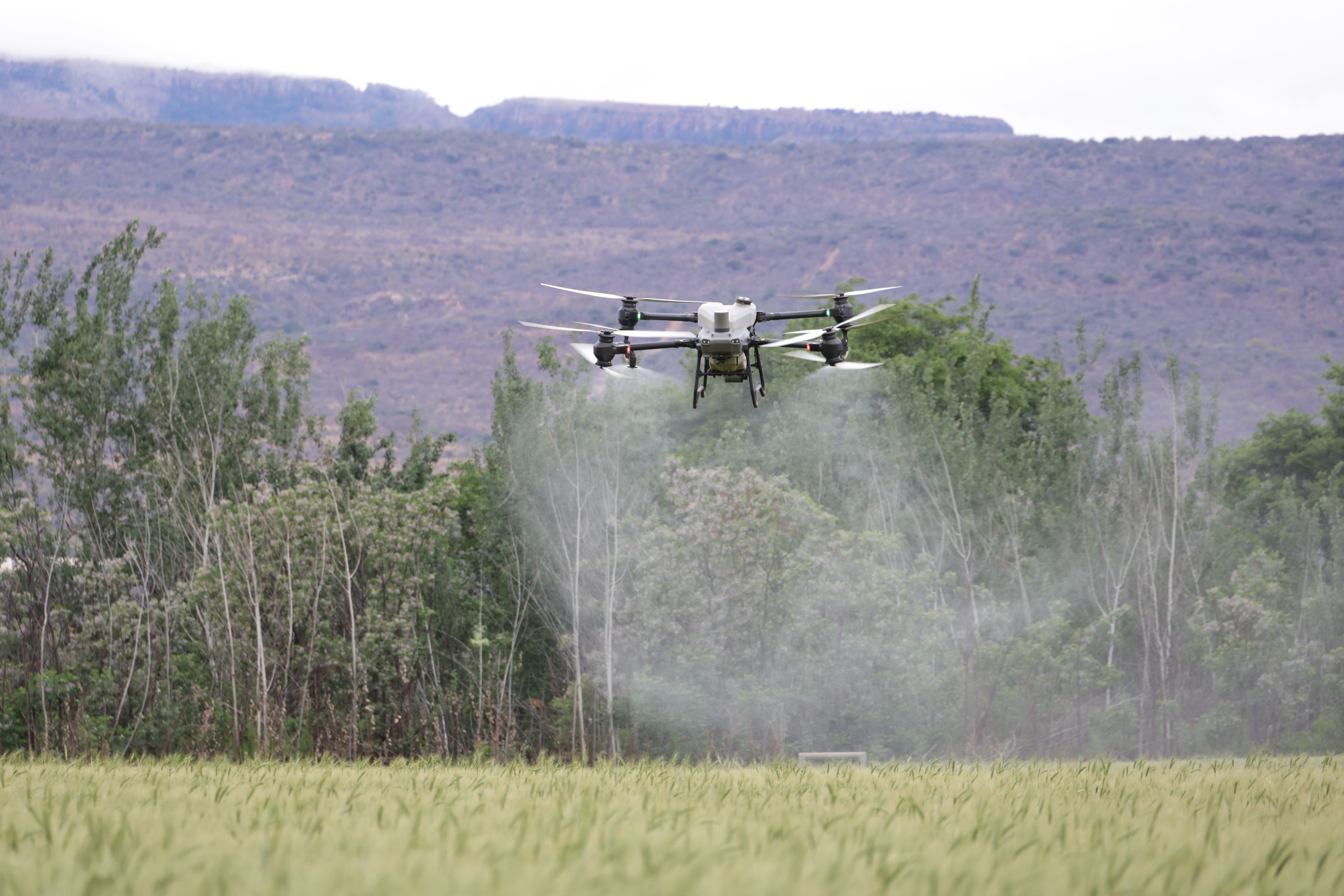 High-Capacity Spreader